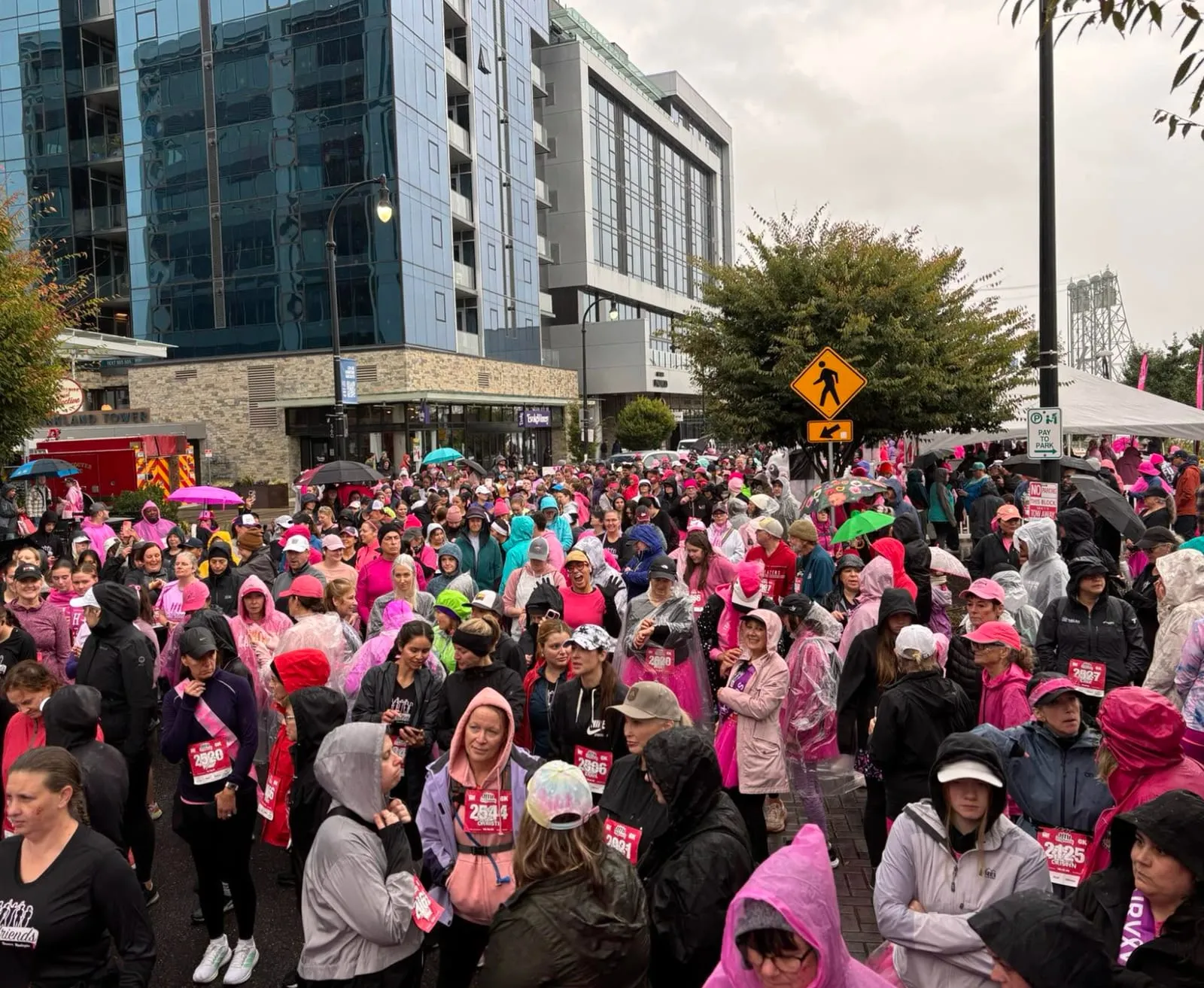 Pink Lemonade Project supporters gathered together at a community event